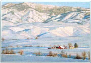 Card by Kaye York: Distant Ranch