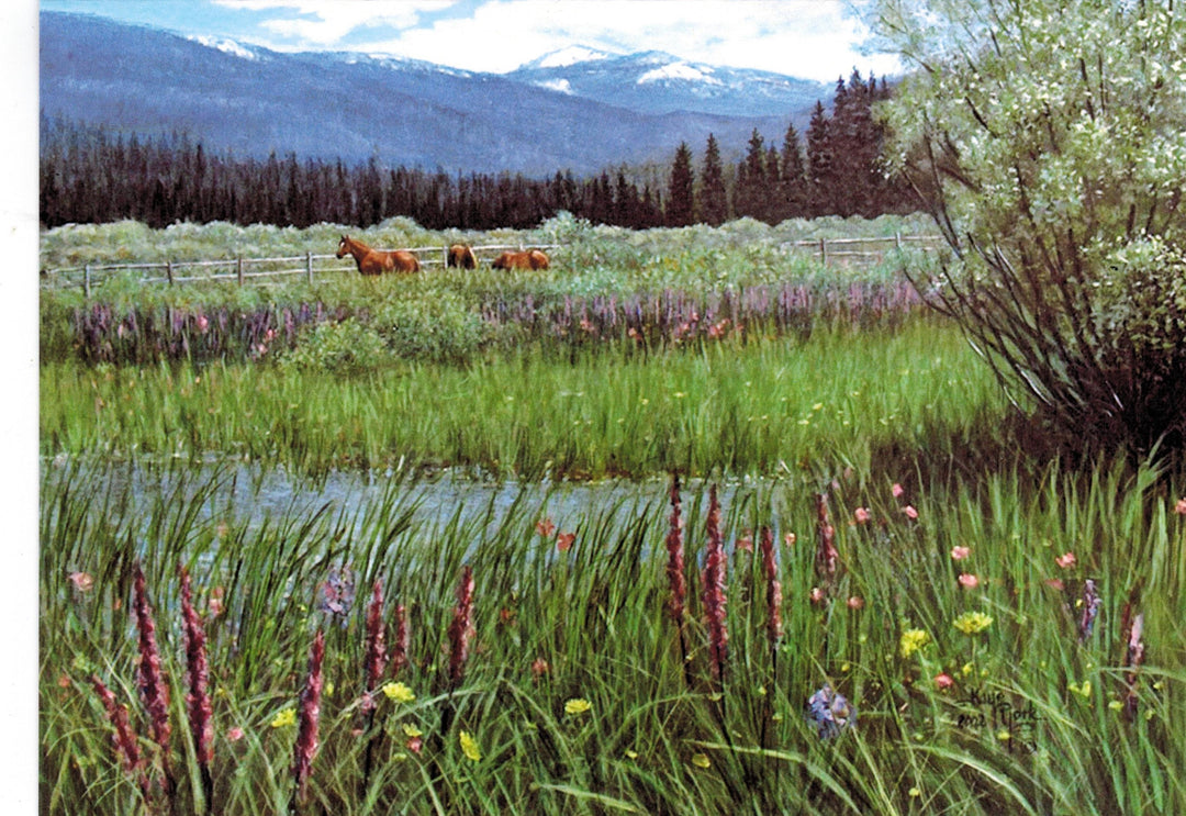 Card by Kaye York: Stolle Meadow