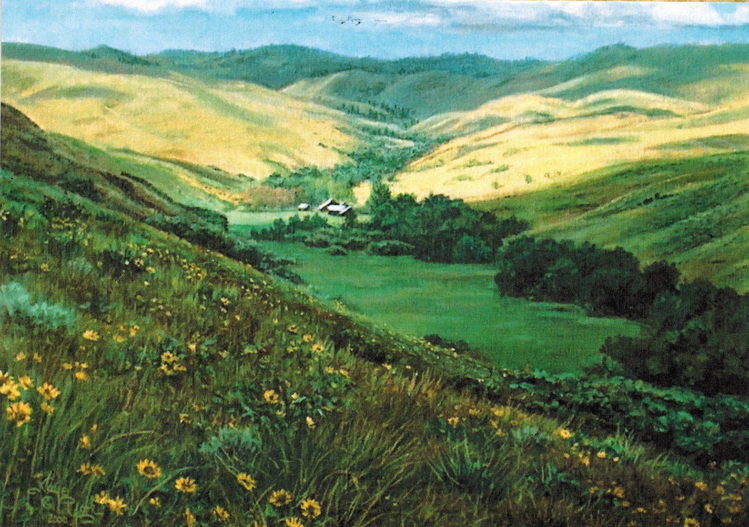 Card by Kaye York: Stover Ranch