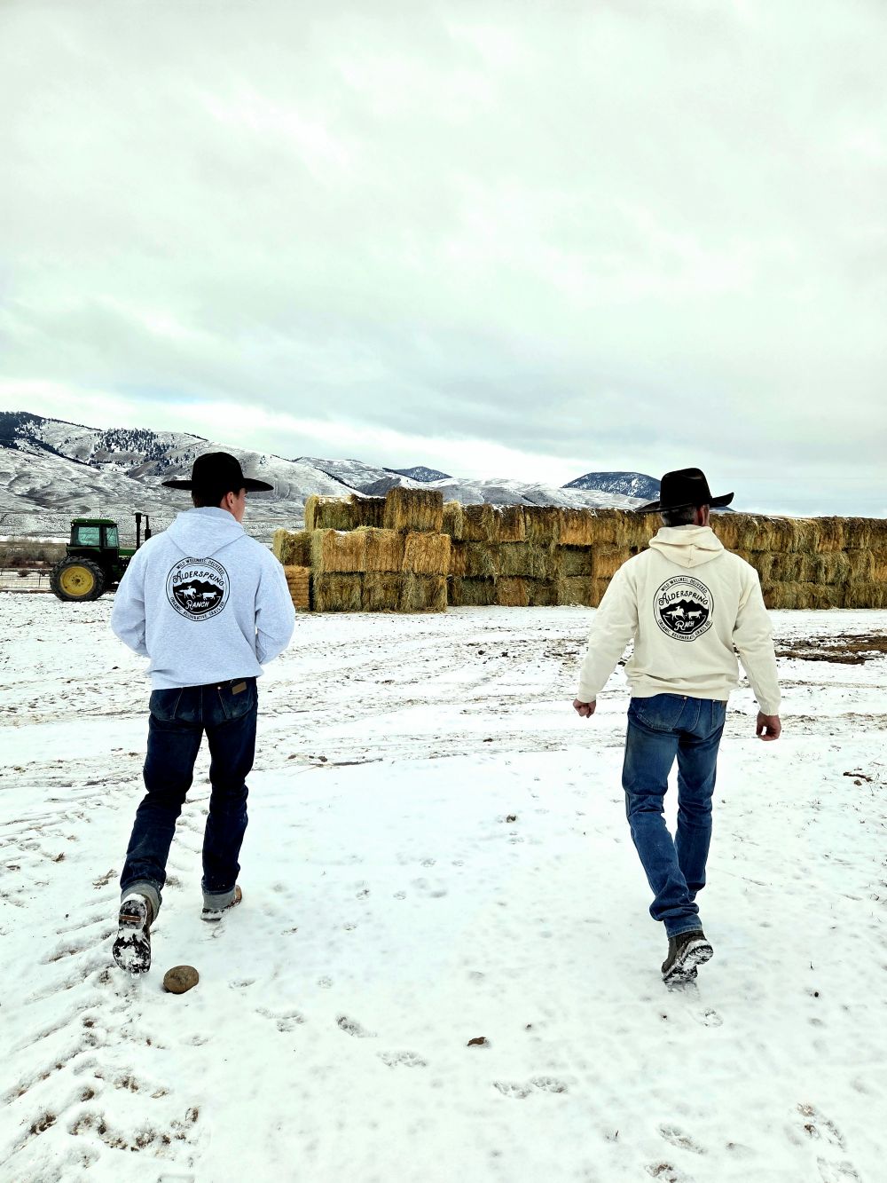 Alderspring Ranch Logo Hoodie