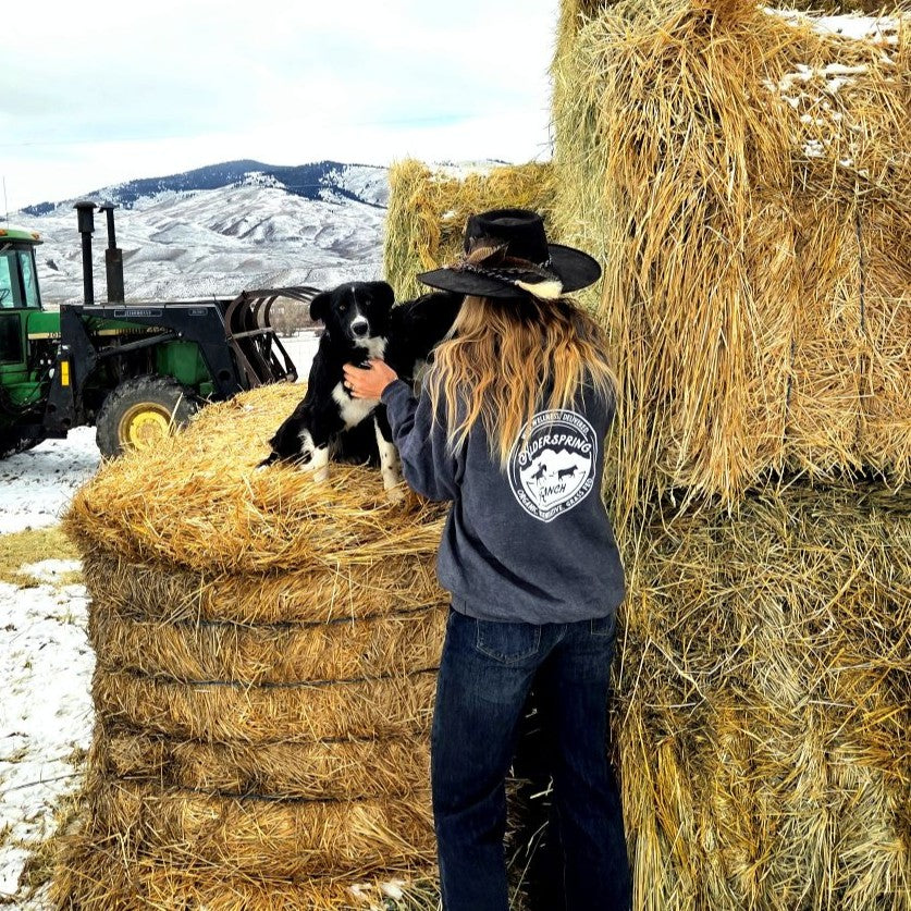 Alderspring Ranch Logo Hoodie