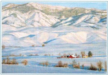 Gift Card by Kaye York: Distant Ranch
