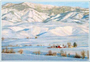 Gift Card by Kaye York: Distant Ranch
