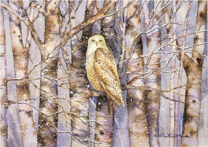 Christmas Gift Card: Snowy Owl Scene